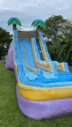 IMG 2401 1724721864 20ft Tropical Blast Dual Lane waterslide