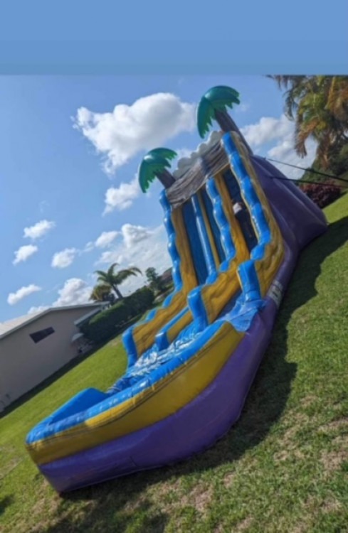 20ft Tropical Blast Dual Lane waterslide